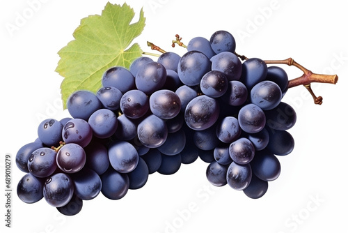Dark blue grape with leaves on a white background