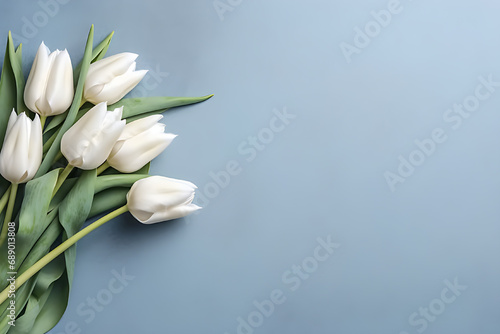 White tulips on a sky blue background  depicting serenity  template.