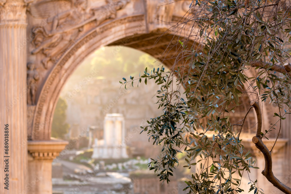 Obraz premium Ruines dans le Forum Romain