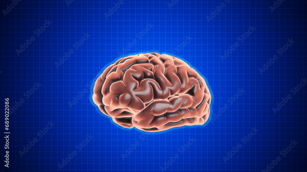 Animation of rotating brain with Grid on dark blue background Animation of rotating brain with Grid on dark blue background