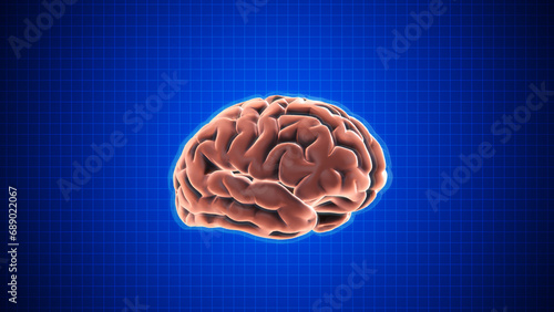 Animation of rotating brain with Grid on dark blue background