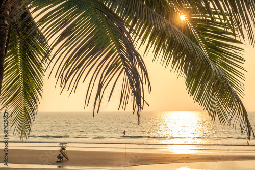 silhouettes of coconut trees palms against the blue sky of India with sunset