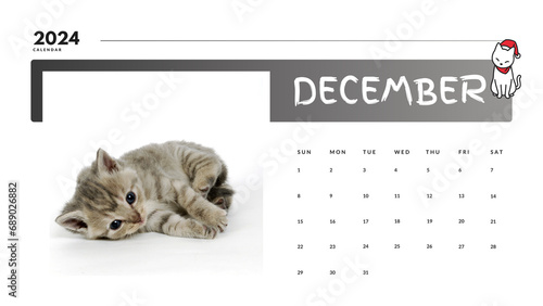 Kitten Calendar 2024 December