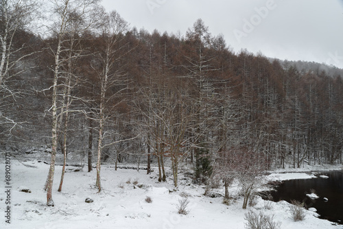 雪景色の御射鹿池 長野県