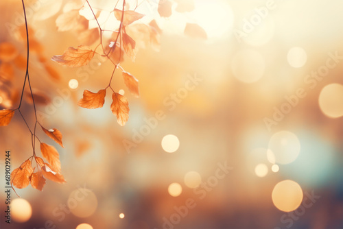 Goldener Herbstzauber - Ein abstrakter Bokeh-Hintergrund f  ngt die warmen Lichtmomente des Herbstes in einer magischen und gem  tlichen Atmosph  re ein