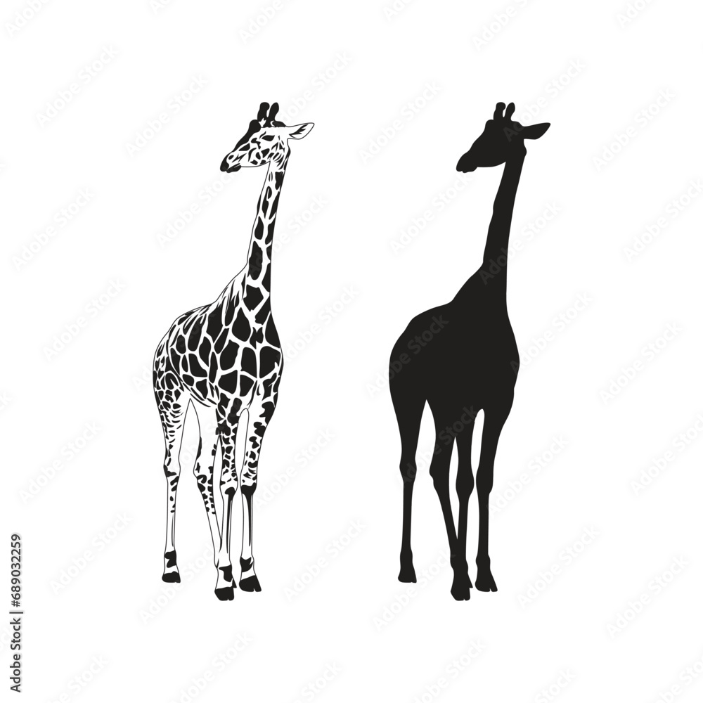 Fototapeta premium Vector flat giraffe outline and silhouettes