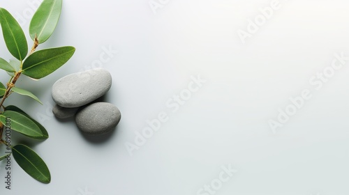 Pebble Rocks and Sage Twig Isolated on Minimalist Background, Copy Space, Presentation Background 