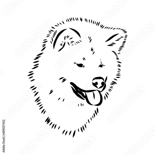 Japanese akita inu dog, vector outline illustration