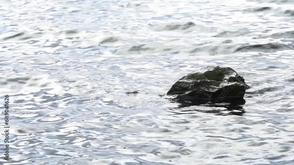 A rock protruding above the water. The raging surface of the sea with many incoming waves on the rock. Light ripples on the surface of the water A rock protruding above the water. The raging surface of the sea with many incoming waves on the rock. Light ripples on the surface of the water
