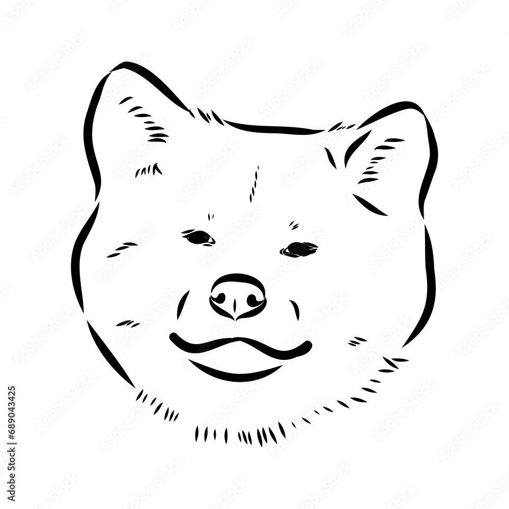 Japanese akita inu dog, vector outline illustration Japanese akita inu dog, vector outline illustration