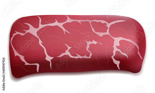 raw piece of meat cut into steaks vector illustration