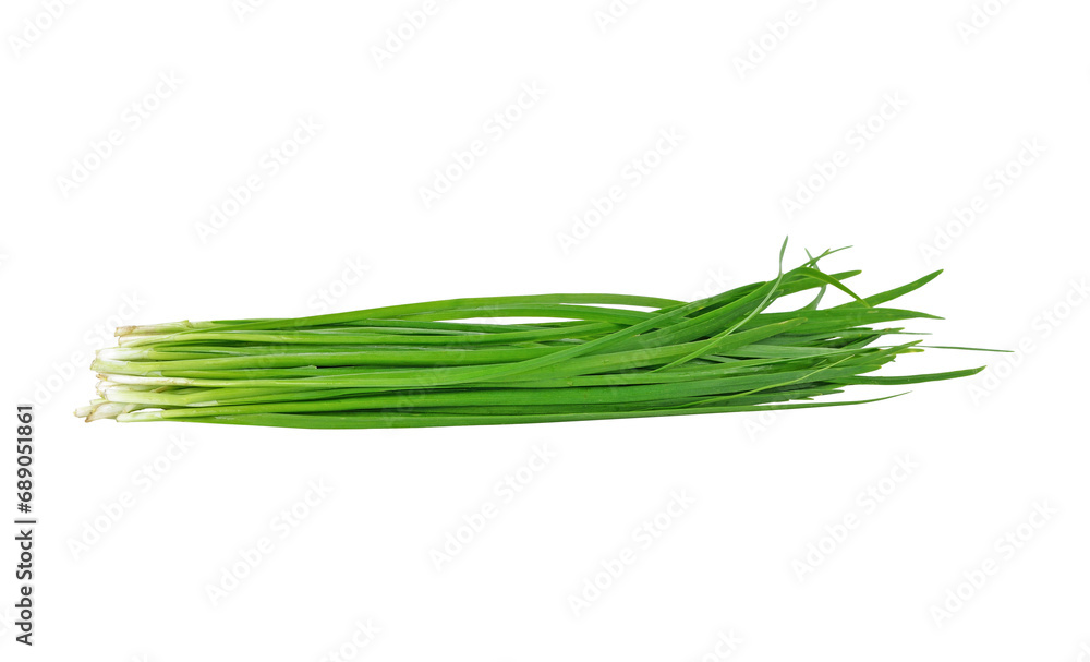 Chinese chives, Garlic chives transparent png Chinese chives, Garlic chives transparent png