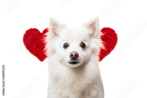 Dog Heart Eyes on a transparent background photo