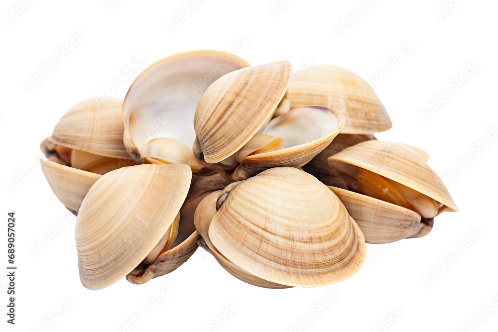 Seafood Delight on White on a transparent background
