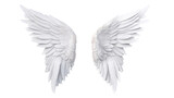 Realistic wings. A pair of white angel wings with 3D feathers isolated on a transparent background. PNG file.