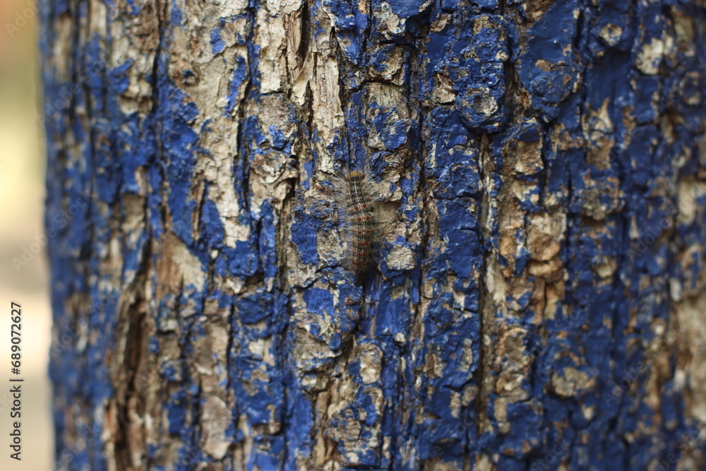 Obraz premium blue texture