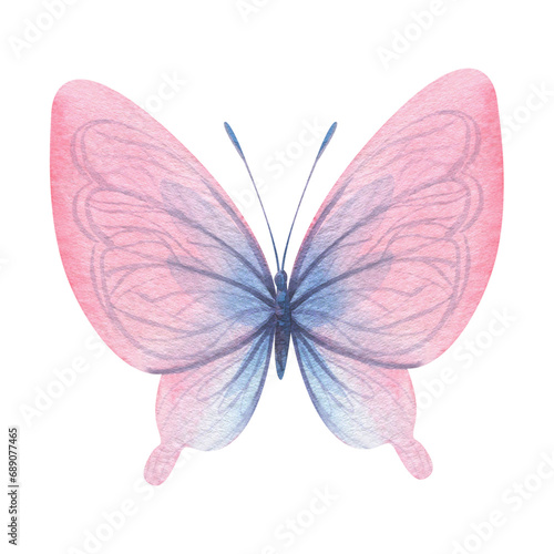 Butterfly are pink, blue, lilac, flying, delicate with wings. Hand drawn watercolor illustration. Isolated element on a white background, for design. © NATASHA-CHU