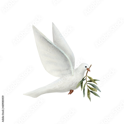 Dove of Peace with olive tree twig watercolor illustration isolated on white background. White flying pigeon bird for pacific symbols designs photo