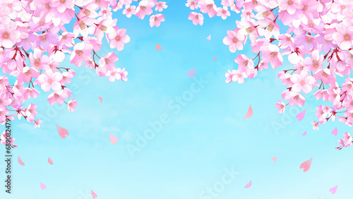 桜と青空の背景素材　桜吹雪　お花見　入学　卒業　入園　卒園　入社　ひな祭り　ひなまつり　16:9 photo