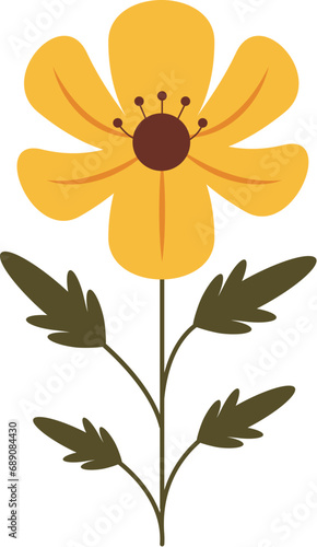 Single yellow field flower isolated. Minimalistic flat style. Wild plant with yellow flower, stem and leaves. Spring meadow plant. Lawn flower. Flower for print, postcard, wedding invitation.