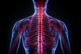 3D close-up illustration of the human cervical spine. Human vertebral column, vertebrae riddled with nerve endings. Back pain treatment and medical technologies concept.
