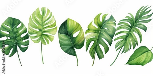Exotic plants  palm leaves  monstera on an isolated white background  watercolor illustration  Generative AI
