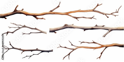 Set of watercolor tree branches without leaves. Hand drawn bare snags isolated on white background. Watercolor illustration, Generative AI