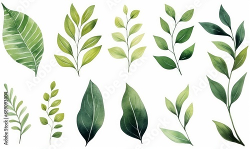Set of watercolor green leaves elements. Collection botanical isolated on white background suitable for Wedding Invitation, save the date, thank you or greeting card, Generative AI photo