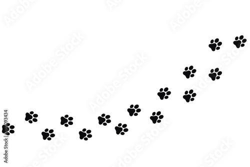 Foot trail print of Dog. Dog walk foot print. Black cat Paw Prints. Black Paw print foot trail of animal on transparent background. Paw print of Cat isolated on transparent background photo