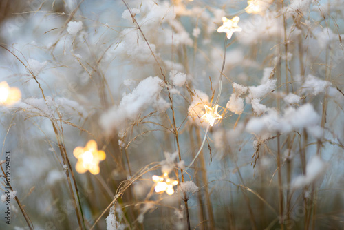 Lovely lights in the wintry dark.