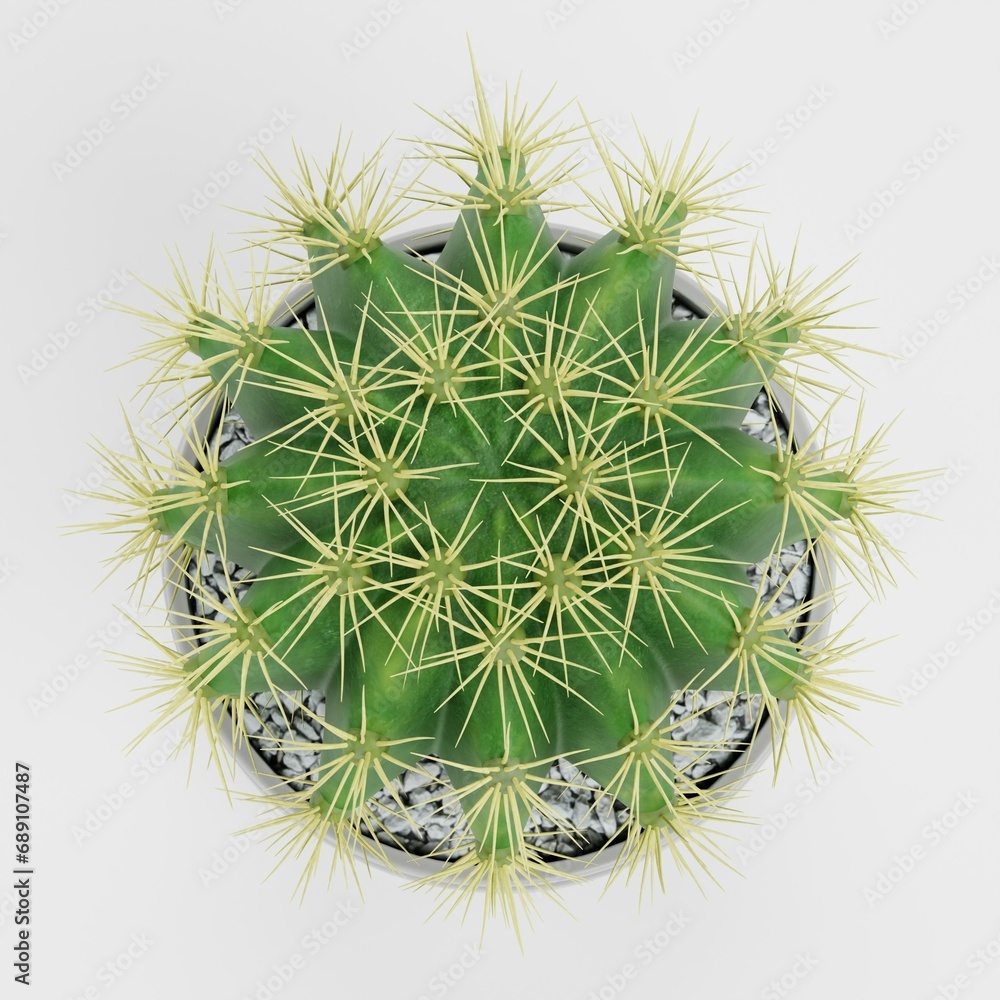 Realistic 3D Render of Golden Barrel Cactus Realistic 3D Render of Golden Barrel Cactus