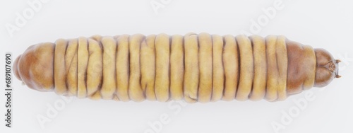 Realistic 3D Render of Wax Worm photo