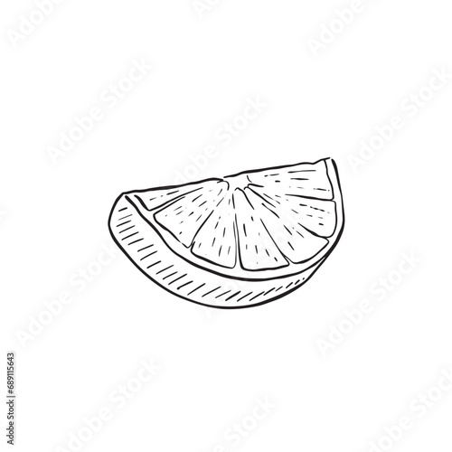 Hand drawn lime segment in black and white. Drawn in a sketchy style using simple line drawn techniques. Sketchy vector. 