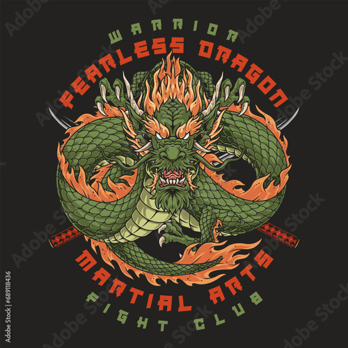 Fearless warrior dragon colorful poster
