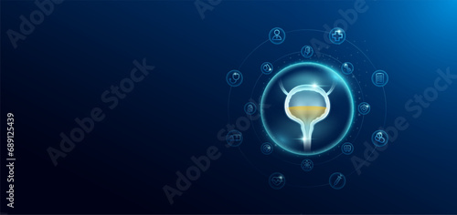 Medical health care. Human bladder in transparent bubbles surround with medical icon. Technology innovation healthcare hologram organ on dark blue background. Banner empty space for text. Vector. photo