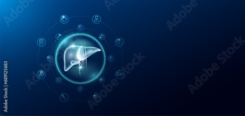 Medical health care. Human liver in transparent bubbles surround with medical icon. Technology innovation healthcare hologram organ on dark blue background. Banner empty space for text. Vector.