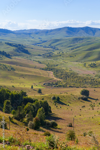 Vertical summer landscape photo of Altai mountains