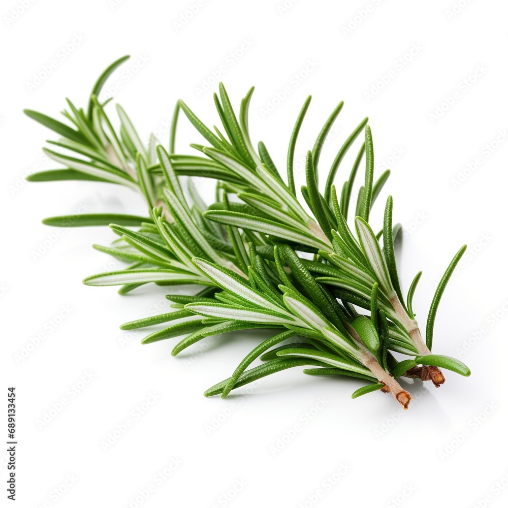Fototapeta premium Professional food photography of Rosemary, isolated on white background, Rosemary isolated on white background