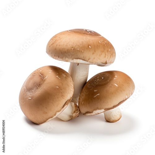 Professional food photography of Crimini mushrooms, isolated on white background, Crimini mushrooms isolated on white background
