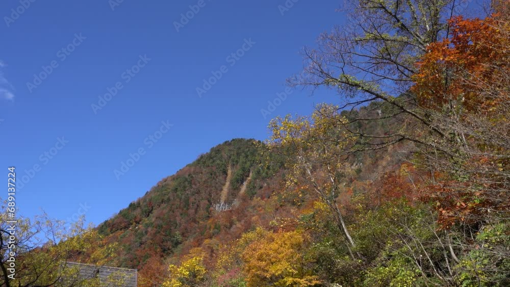 Blue sky and colorful autumn leaves on high mountains Blue sky and colorful autumn leaves on high mountains