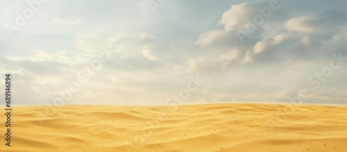High quality photograph of a landscape with yellow sand and a gray sky Copy space image Place for adding text or design