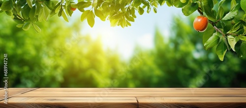 Nature themed background wi...