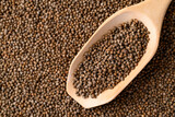 Perilla seed in spoon, Healthy herbal seed ingredients in Asian food
