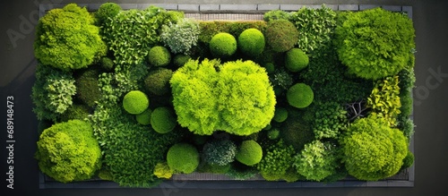 Gardener s aerial view of w...