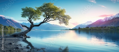 Gorgeous tree in Lake Wanaka NZ Copy space image Place for adding text or design