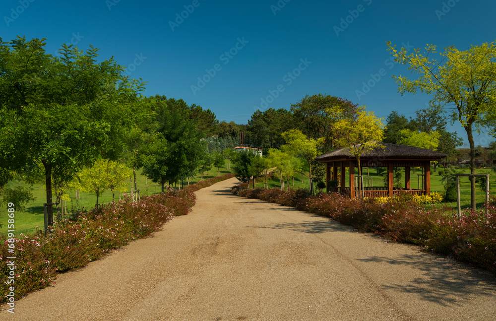 Fototapeta premium Park walkway. Park landscaping. 