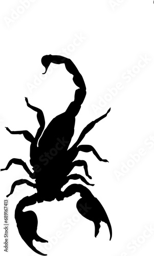 scorpion isolated on white background
