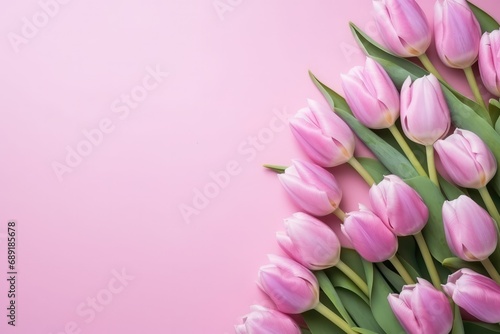 Top View Of Pink Tulip Flowers On A Pink Background. Сoncept Spring Blooms, Tulip Paradise, Pink Floral Delight, Alluring Top View, Serene Flower Garden © Anastasiia