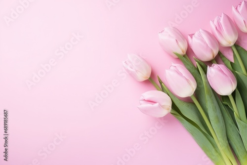 Top View Of Pink Tulip Flowers On A Pink Background © Anastasiia