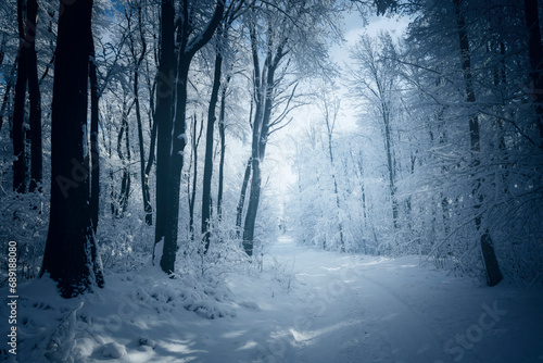snowy road in dark winter f...
